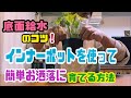 [底面給水]インナーポットを使って簡単お洒落に植物育てよう
