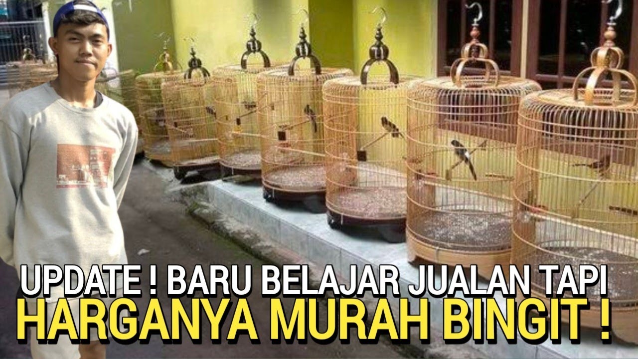 EDAN ! LAGI-LAGI HARGA MURAI BATU HARI INI MEROSOT TAJAM DI KIOS RUMAHAN PASAR BURUNG LEWAT DULU YA