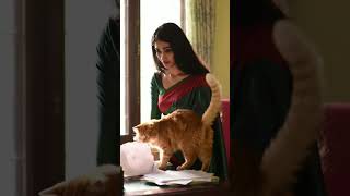 When Your Cat Crashes Study Time But You Still Love It