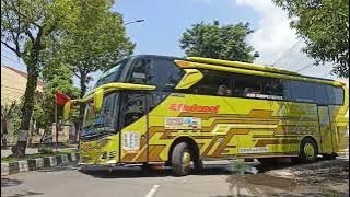 Story wa bus Efisiensi Guardian Terbaru '