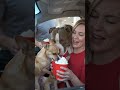 Be polite to  Your pets