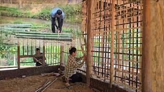 Young Couple Called "Crazy" for Cutting Bamboo in the Forest to Build a House Frame
