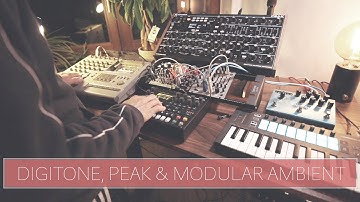 Relaxing Ambient // Novation Peak, Elektron Digitone, MI Beads and Befaco Crush Delay