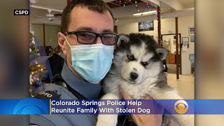 Colorado Springs Police Help Reunite Family With Stolen Dog