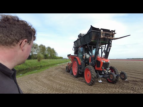 Eerste gladiolen de grond in met nieuwe trekker! 