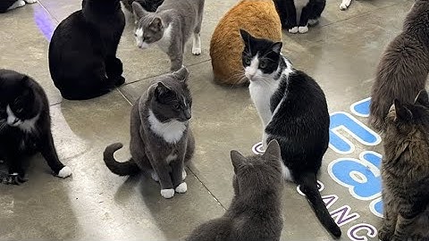 Blame Janis!!! 😜😜