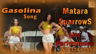 Gasolina song With Matara Sparrows dance group live performance