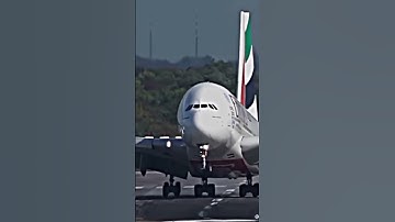 Videos every avgeek has seen | credits to @zack🦅 on TikTok