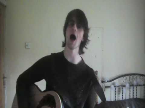 Fake   The Frames Live Acoustic Cover by Rich of The Anybodies