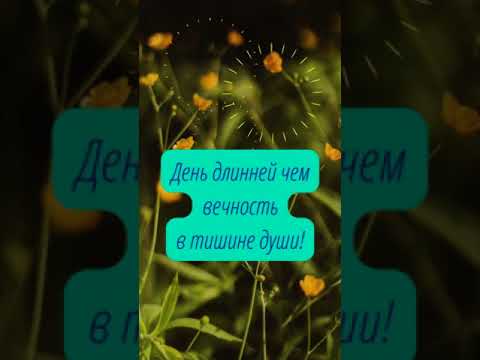 День длинный в тишине...