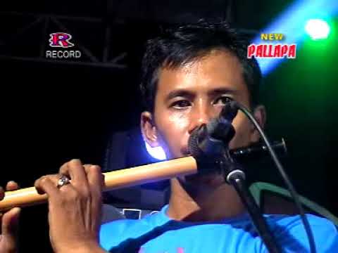 Bukan yg pertama New Pallapa Live Sawocangkring Wonoayu Sidoarjo