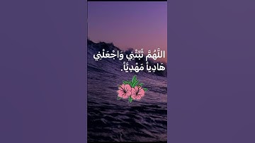 ارح قلبك وعقلك 🤍تلاوة هادئة للقارئ الشيخ عبدالله الموسى