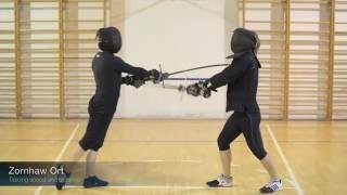 longsword.academy: Zornhau ort revisited