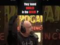 🐋 Joe Rogan: Whales Found in the Desert?! 🤯🌵