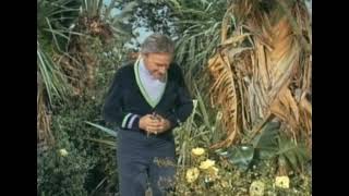 Dr Smith and CARROT 🥕 Man - Lost in Space