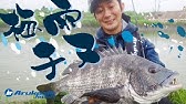 淀川チニング 秋のスイミング攻略 Youtube