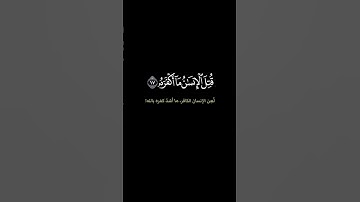 سورة عبس #quran #تيك_توك #شورت #اكسبلور #السعودية #القارئ #ارح_سمعك #islam #quran #تلاوة_خاشعة#fyp