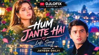 Hum Jante Hai Tum Hame Barbad Karogi Lofi Song Alka Yagnik, Vinod Rathod Khilona,1996