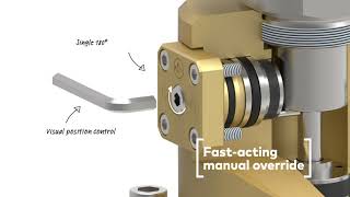 Buschjost Flange Valves