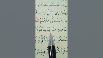 سورة فاطر الأية 13 إلى 14 القارئ سعد الغامدي