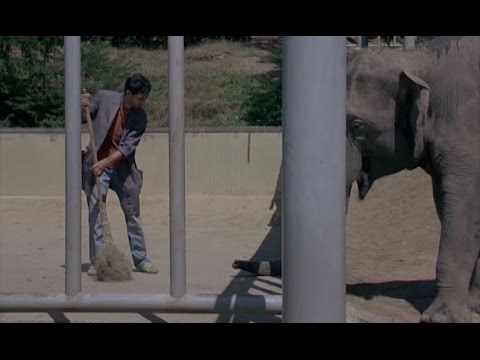 30 აპრილს, 21:00 საათზე - პირველ საზოგადოებრივზე, ოთარ იოსელიანის ფილმი \"შანტრაპა\" (12)