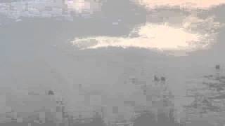 DSC 0528
