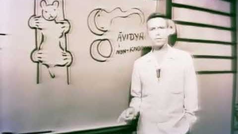 Alan Watts - Man and Nature Are One/The Polarity (Yin and Yang)