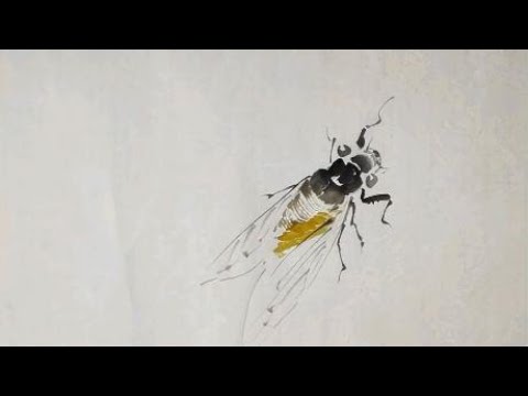 5.3.2不同形态蝉的画法6，蝉，草虫，花鸟鱼虫，国画快速入门