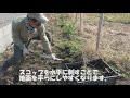 【新畑開拓】⑦農園外周の溝整備と藍の種採り：2018年12月17日農業記録