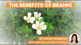 The Benefits of Brahmi Resimi