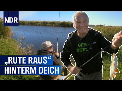 Video: Was ist ein Hechtpass?