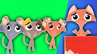 trois petits chatons | Nursery Rhymes | Song for Children | compilation