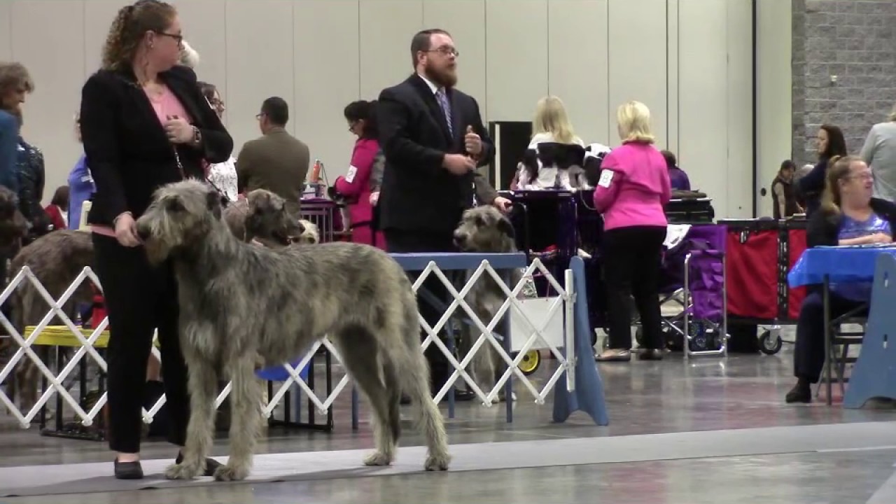 Hot Springs National Park Kennel Club Dog Show Hot Springs National Park Kennel Club Dog Show