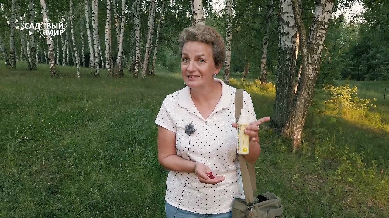 От укусов комаров для самых маленьких садоводов. Безопасные средства от насекомых