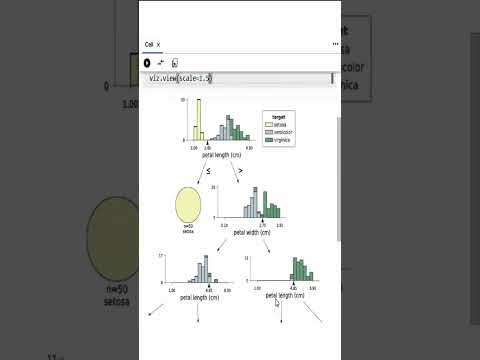 Vídeo: Com funciona l'arbre de decisions a R?