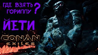 Черный Йети. Где получить? Большая горилла. Conan Exiles