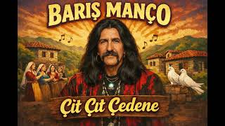 Barış Manço - Çıt Çıt Çedene Sar Bedeni Bedene Psychedelic Anatolian Rock Cover