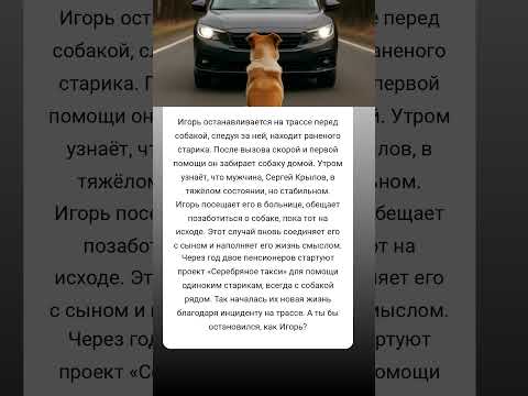 🚗🐕 Игорь и собака спасают жизнь и запускают проект добра! #истории #добросердечие