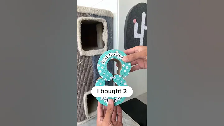 This cat toy is amazing