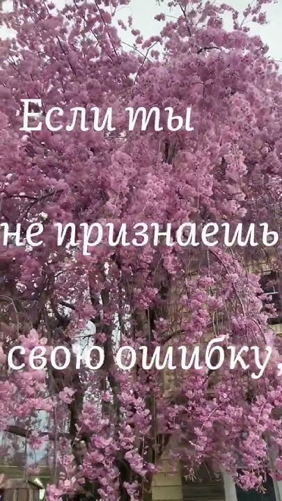 Мудро сказано - YouTube