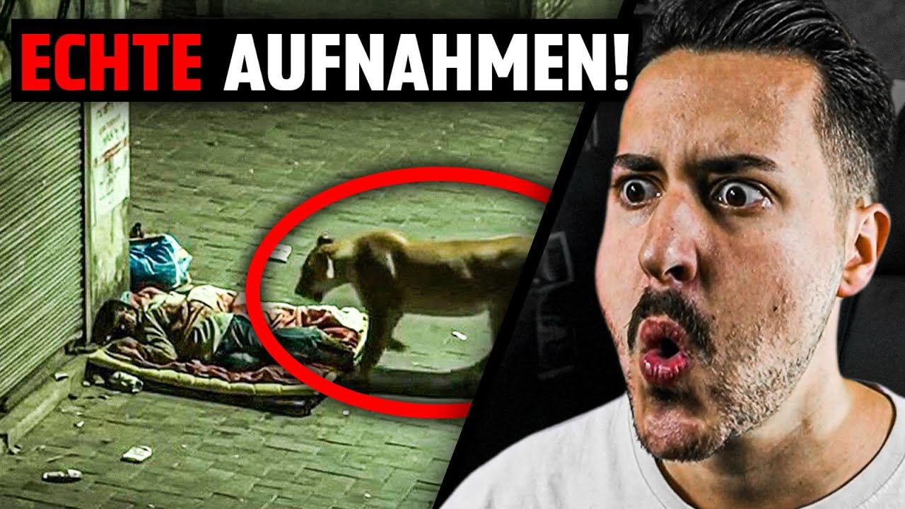 DAS wurde WIRKLICH mit der Kamera GEFILMT! 😱