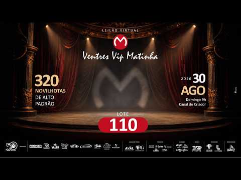 LOTE 110