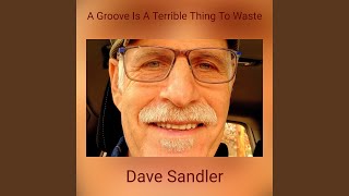 Video thumbnail of "Dave Sandler - A Groove Is A Terrible Thing To Waste"