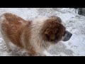 Как начинается утро в городе . Обходим свои владения!