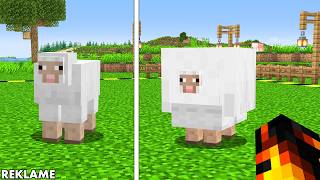 Jeg Tilføjede Alt Som Mojang Sagde NEJ Til!