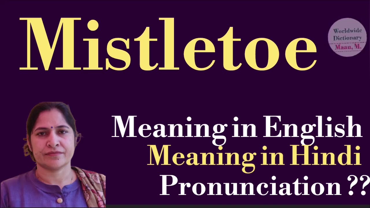 mistletoe meaning l meaning of mistletoe l mistletoe ka hindi mein kya matlab hota hai l vocabulary