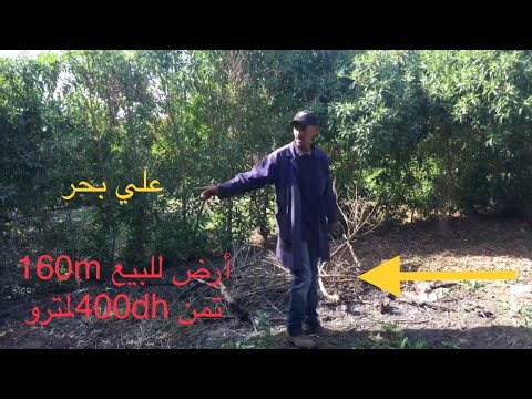 ارض للبيع قرب بحر بتمن 400  متر قبل للمفوضة سيدي رحال