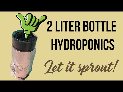 How To Make A : 2 Liter Bottle Hydroponics (self watering system for plants)