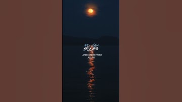 #تلاوة_خاشعة #قران_كريم #غزة #فلسطين #like #subscribe