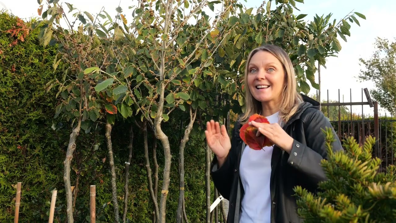 Ogród na miarę - 2025.11.08